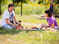 Adoptuj Warszawiaka  Wydarzenie promujące adopcję zwierząt. Organizator: Schronisko dla Bezdomnych Zwierząt "Na Paluchu". 18 sierpnia 2019, Park Raszyński w Raszynie. : park raszyński, adoptuj warszawiaka, na paluchu, schronisko dla zwierząt, centrum warszawy, raszyn